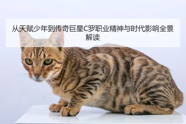 从天赋少年到传奇巨星C罗职业精神与时代影响全景解读